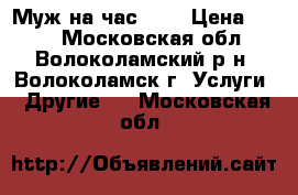 Муж на час...  › Цена ­ 100 - Московская обл., Волоколамский р-н, Волоколамск г. Услуги » Другие   . Московская обл.